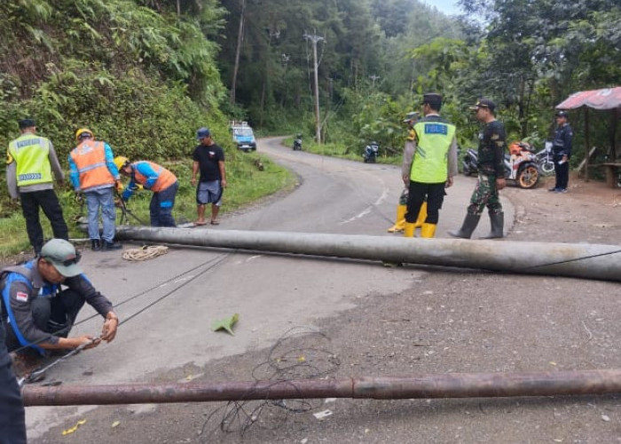Halangi Jalan, Tiang Listrik Tumbang di Jalan Raya Desa Totogan Dievakuasi 
