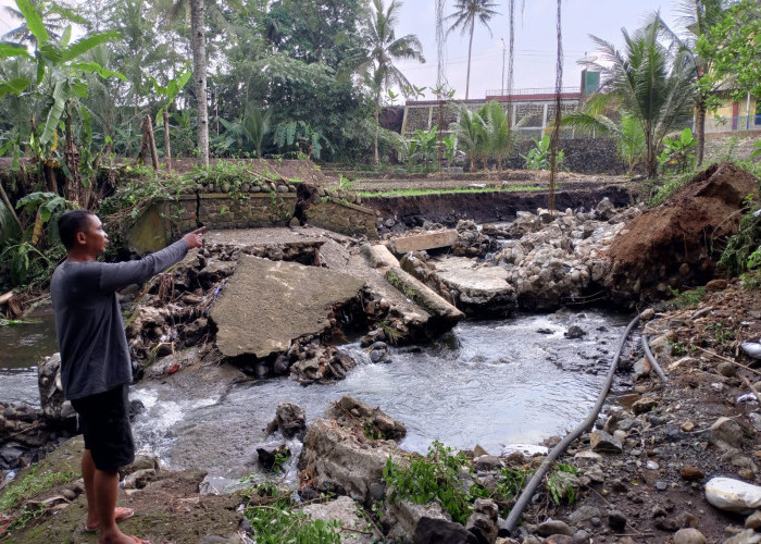 Bendungan Kedungdamang Ambrol, 30 Hektare Sawah di Desa Prigi Kesulitan Air