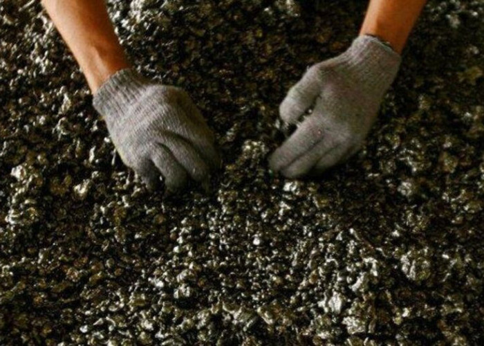 Perusahaan Hyundai Ciptakan Ekosistem Kendaraan Listrik Berbasis Baterai Nikel