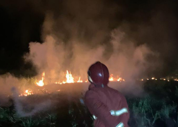Kebakaran Lahan Terjadi di Jatisaba Purbalingga, Tanah Bengkok Diduga Sengaja Dibakar Warga