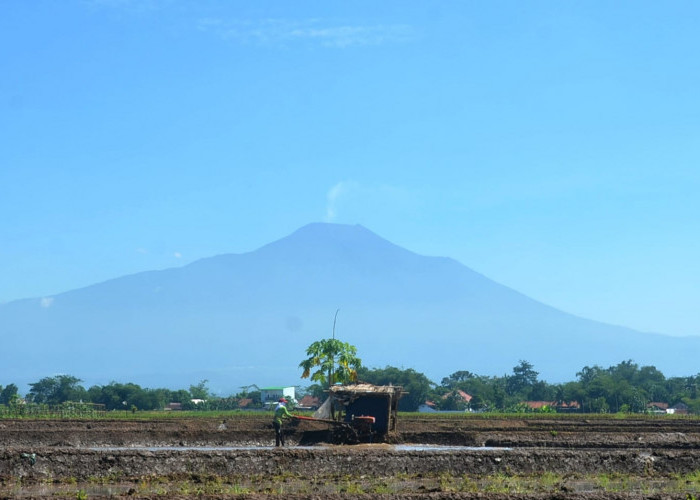 Aktivitas Vulkanik Gunung Slamet Terus Meningkat, Larangan Aktivitas Warga Diperluas