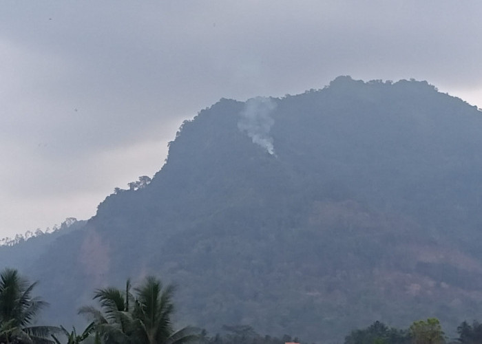 Kebakaran Lahan dan Hutan Gunung Plana Bobotsari Dipastikan Padam, Tak Ada Titik Api Lain