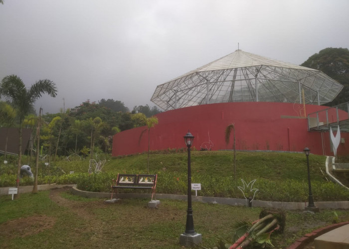 Green House Anggrek dan Bromelia Butuh Dipercantik