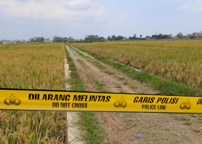 Identitas Mayat Bersimbah Darah di Sawah Klampok Banjarnegara Terungkap