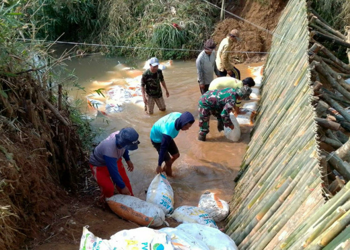 Penuhi Pasokan Air, Petani Desa Madusari Bangun Bendungan Sederhana 