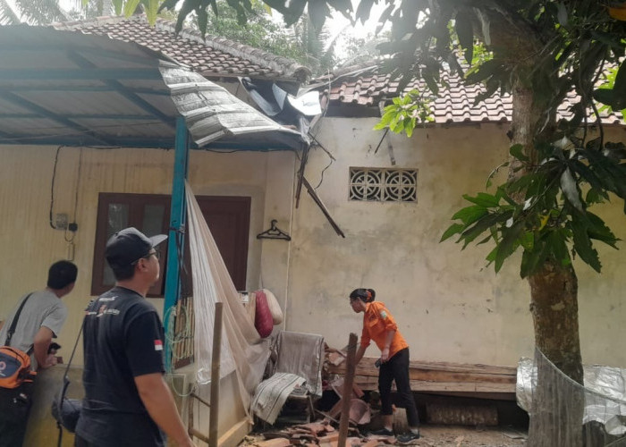 Pohon Tumbang Timpa Rumah di Klirong