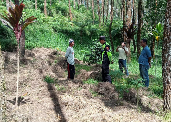 Garapan Ilegal Ditemukan di Kawasan Hutan Wanayasa, Sembilan Warga Diperiksa