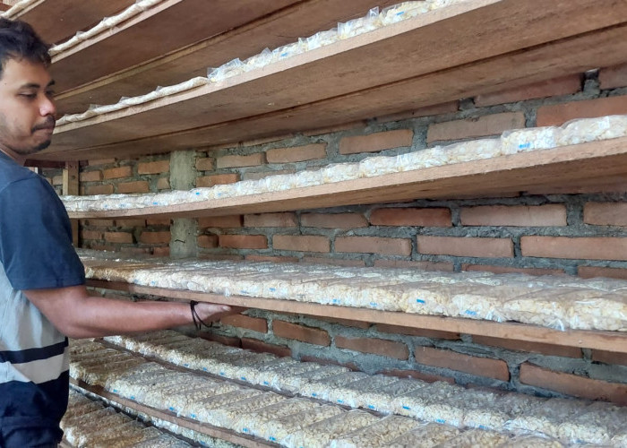 Harga Bahan Baku Naik, Perajin Tempe di Kebumen Perkecil Ukuran