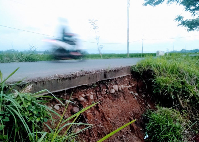 Tanah Longsor di Tanggul Sungai Angin Menggerus Material Aspal Jalan Kabupaten