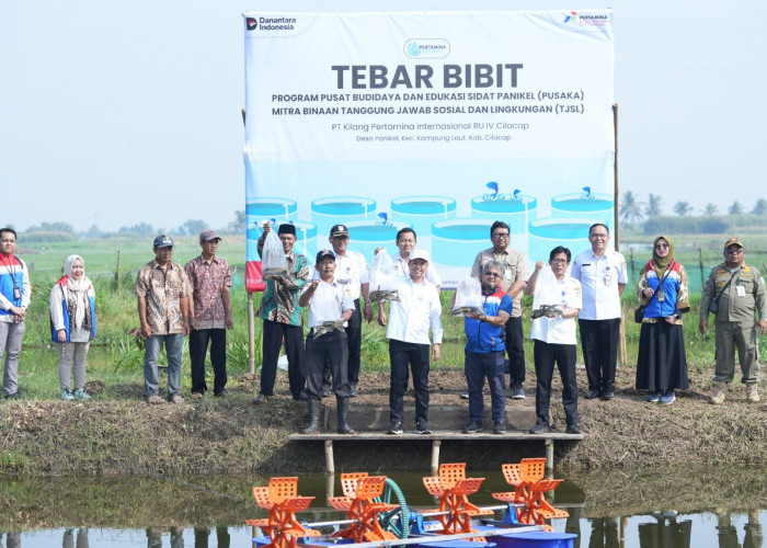 Sidat dari Cilacap Mendunia, Kilang Cilacap Dukung Budidaya Ikan Sidat Panikel