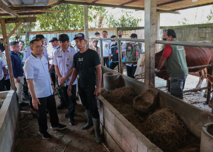 Jelang Iduladha, Ahmad Luthfi Minta Layanan Kesehatan Hewan Keliling Diintensifkan