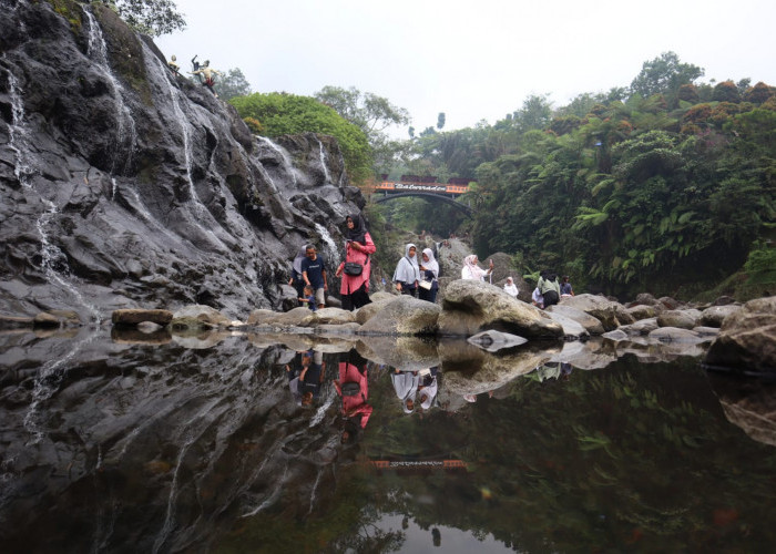 Taman Safari Jajaki Pengelolaan Lokawisata Baturraden