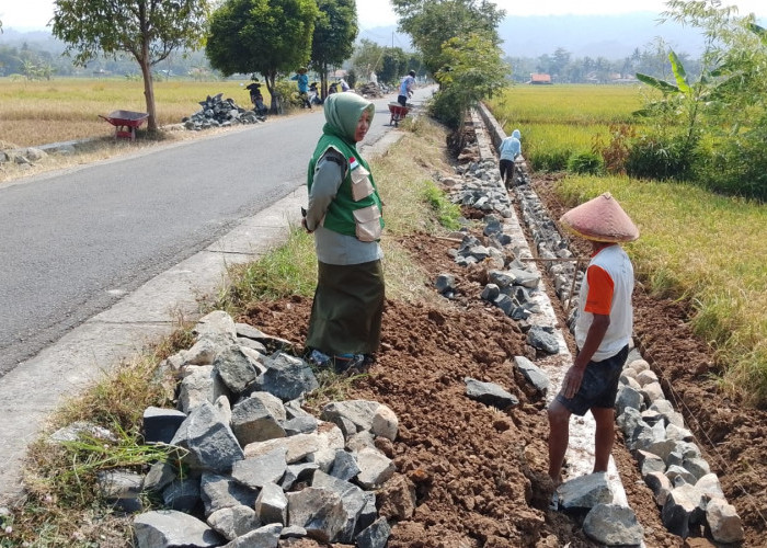 Panen Kurangi Pekerja RJIT Lebeng Banyumas, Proyek Irigasi Tersier Tetap Dikebut