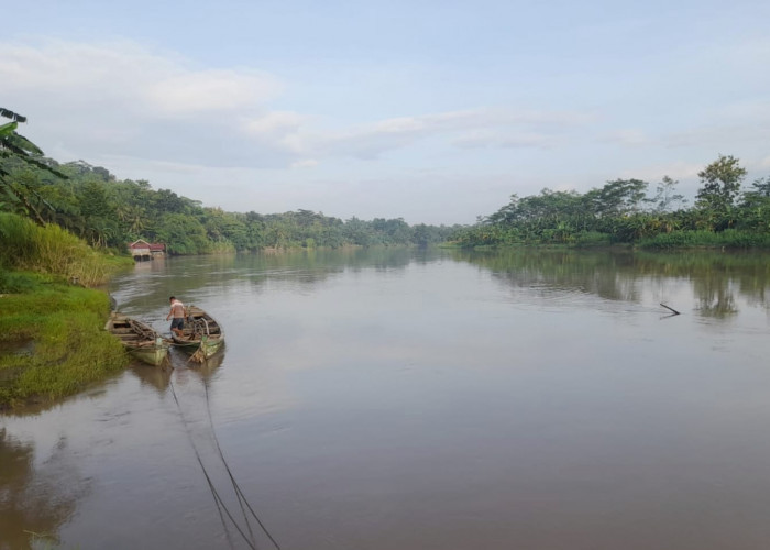 Kondisi Sungai Serayu di Banyumas Berangsur Pulih, Air Tak Lagi Pekat, Ikan Normal Kembali
