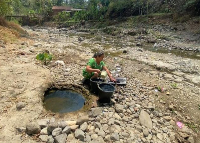 Desa Kaliajir Banjarnegara Masih Dilanda Kekeringan, Warga Ambil Air dari Sungai, Namun Berbau Karat  