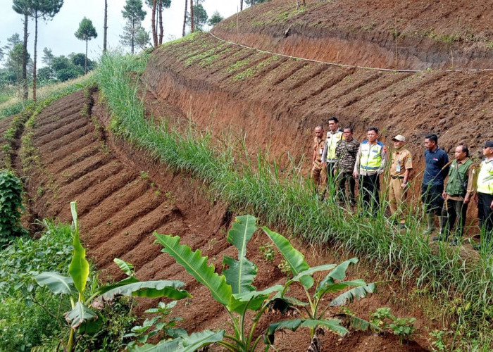 Ancaman Kerusakan Lingkungan Memicu Kesepakatan Penghentian Perambahan Hutan di Kalibening