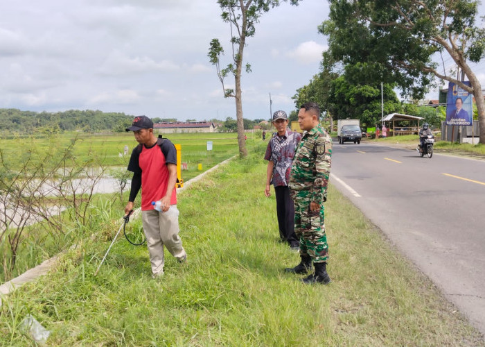 Sempat Ngeyel Terkait Tanaman Odot, Lurah Kebokura: Berakhir Damai