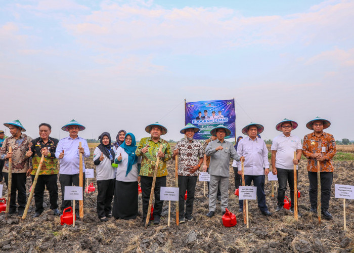 Tekan Kerugian Usaha Pertanian, Sekda Jateng Apresiasi Program Gerakan Menanam Anti Rugi