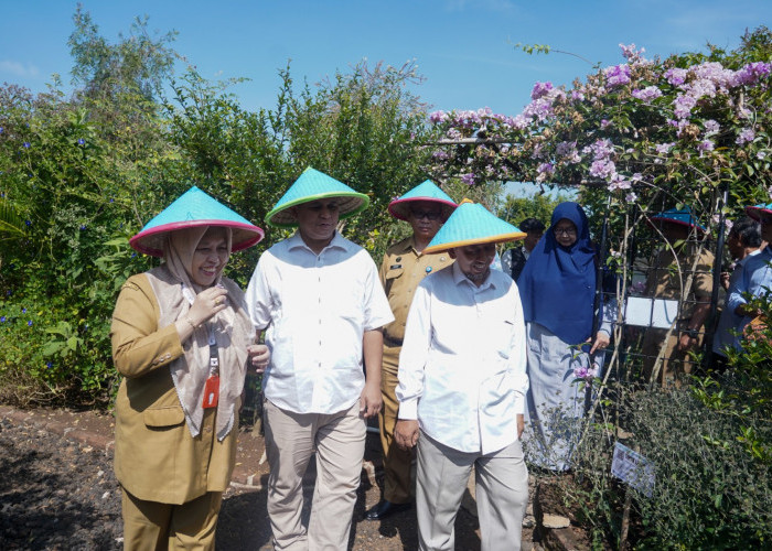 FK UMP Launching Kebun Kedokteran Herbal, Perkuat Desa Binaan dan Pengabdian Masyarakat Internasional