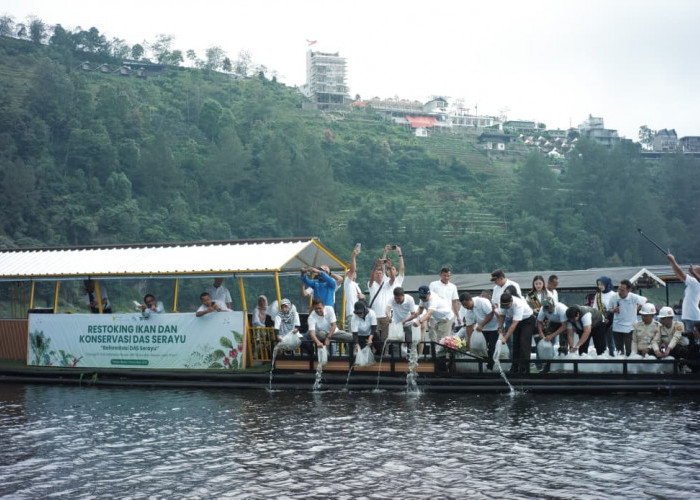 Ribuan Benih Ikan Ditebar di Hulu Serayu, Gerakan Konservasi Hidupkan Ekonomi Warga