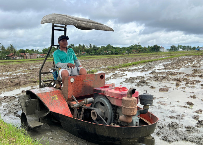 Traktor Perahu Andalan Baru Petani Grenggeng