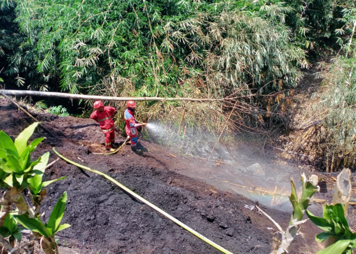 Api Lahan Gambut Dawuhan Wetan Banyumas Bertahan Dua Pekan, Damkar Padamkan Lahan 900 Meter Persegi