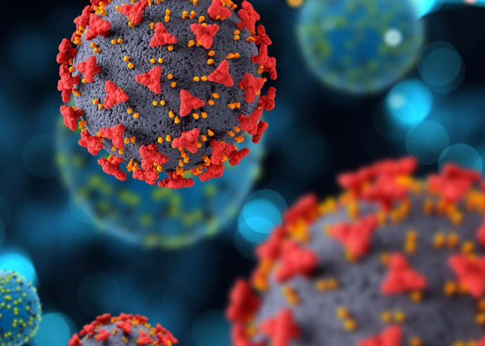 Varian COVID-19 Stratus XFG Gejala, Penyebaran, dan Pencegahannya 