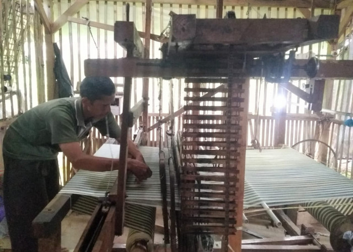 Punya Pohon Mahoni, Warga Ingin Dilibatkan dalam Program Sutera Attakas