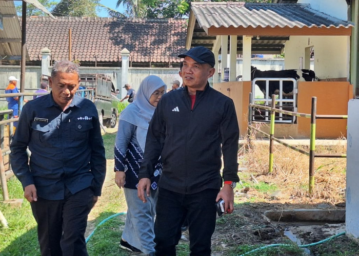 Sumanto Dukung Posisi Jateng jadi Penyangga Produksi Ternak Nasional