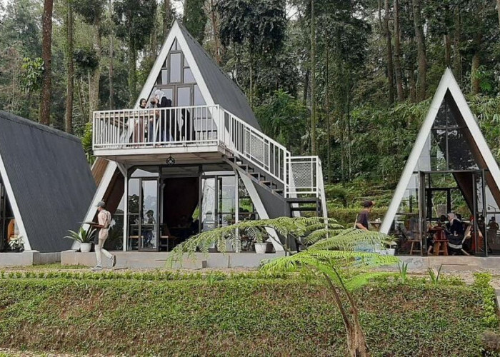 Massapi Cafe Baturraden, Sejuknya Bukan Cuma di Kulit tapi Sampe ke Hati