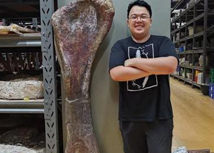 Fosil Dinosaurus Nagatitan Seberat 27 Ton Ditemukan di Thailand