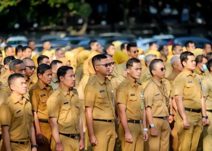 Cek Status NIP PPPK Lebih Mudah, Kini Bisa Online di MOLA BKN