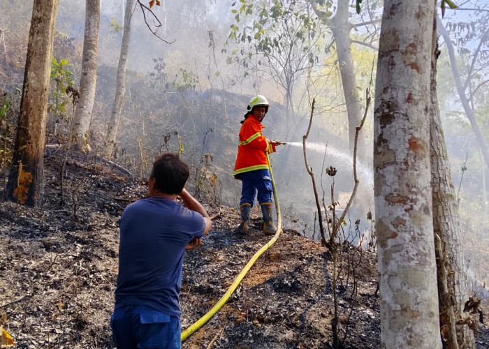 Lima Hektare Hutan Ajibarang Banyumas Terbakar, Pembakaran Sampah Diduga Jadi Pemicu