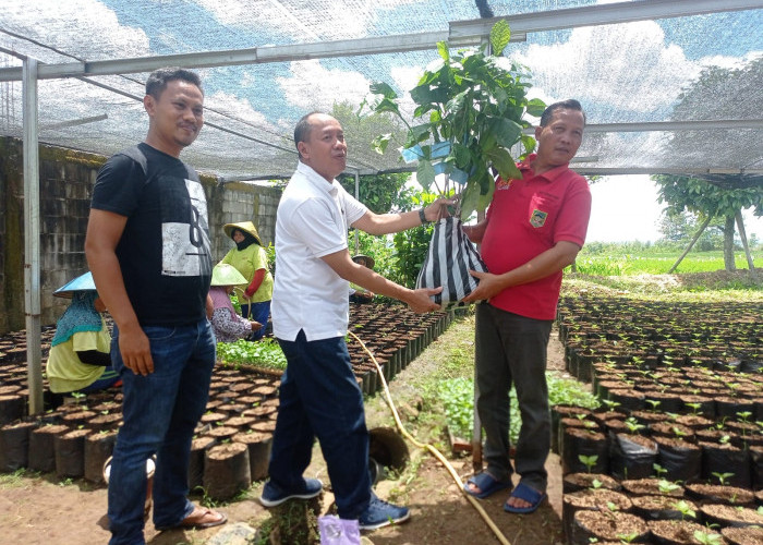 Sentra Pembibitan, Kades Dawuhan Kulon Minta Dukungan Pemkab