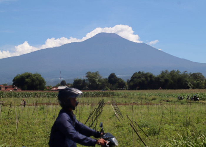 Gempa Gunung Slamet Banyumas Melonjak Drastis, 132 Kali Sehari, Status Waspada