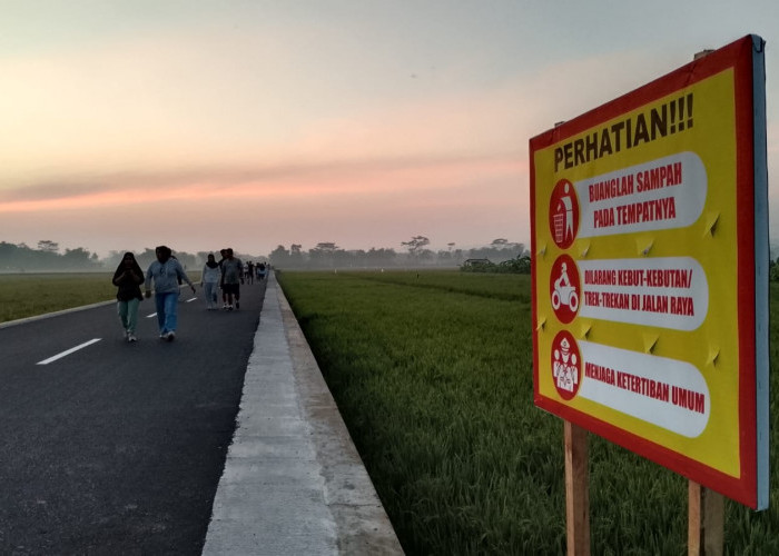Desa Pandak Banyumas Usulkan 20 PJU, Jalan Viral Pandak-Sibalung Masih Gelap Saat Malam Hari