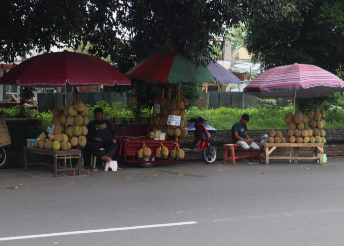 Soal Panen Durian, Faktor Alam Mendominasi 
