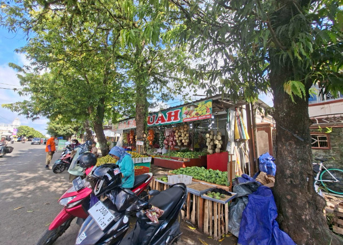 Pedagang Buah Bandel di Jalan Suprapto Cilacap Kena Denda Lebih Tinggi, Berulangkali Langgar Perda K3 Meski S