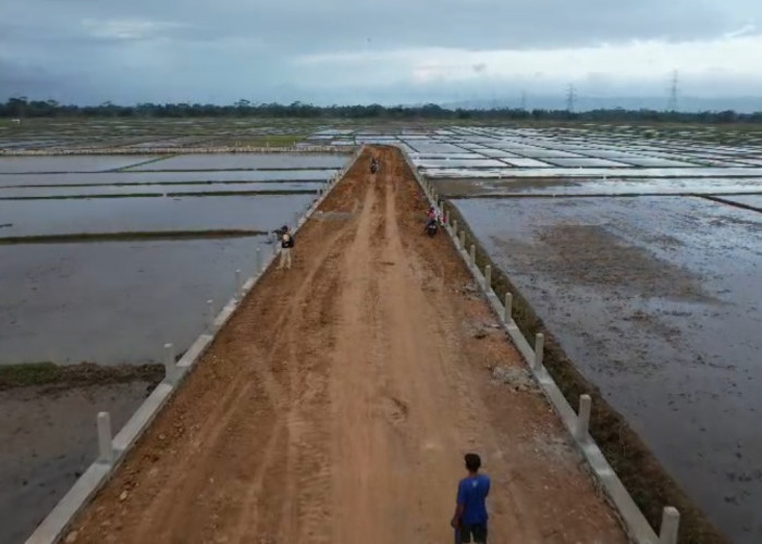 Perbaikan Jalan Sibalung-Pandak Banyumas Capai 23 Persen, Ditarget Rampung Agustus 2026