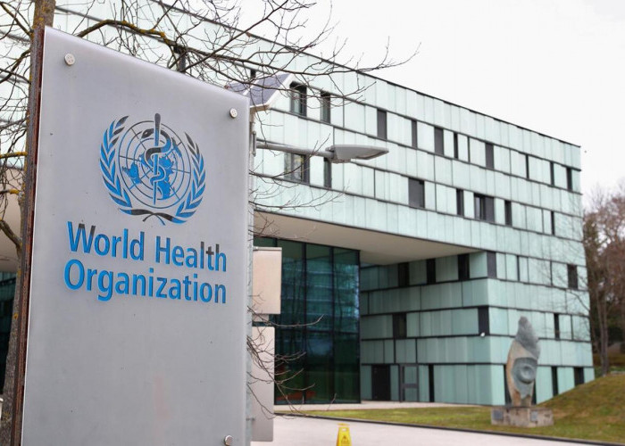 Tugas dan Peran WHO, Penting Bagi Kesehatan Global!