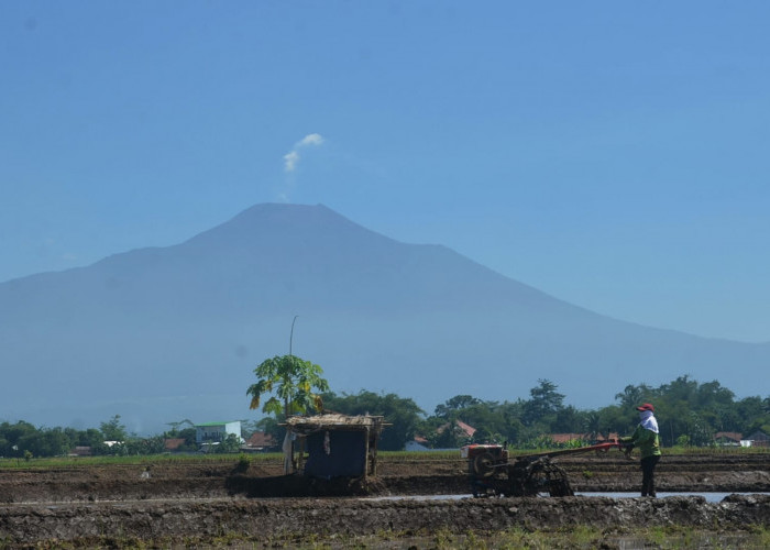 Aktivitas Vulkanik Gunung Slamet Meningkat, BPBD Banyumas: Masyarakat Tetap Waspada