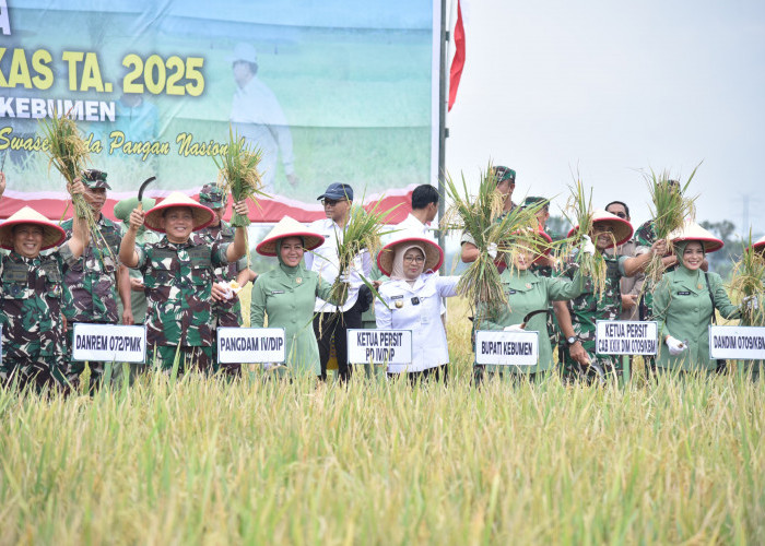 Desa Tepakyang Panen 1.116 Ton Gabah, Produktivitas Capai 6 Ton per Hektare