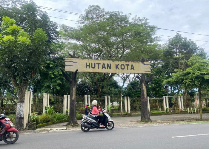 Banyak Fasilitas Rusak Hingga Hilang, DLH: Hutan Kota Tidak Dibuka Setiap Hari