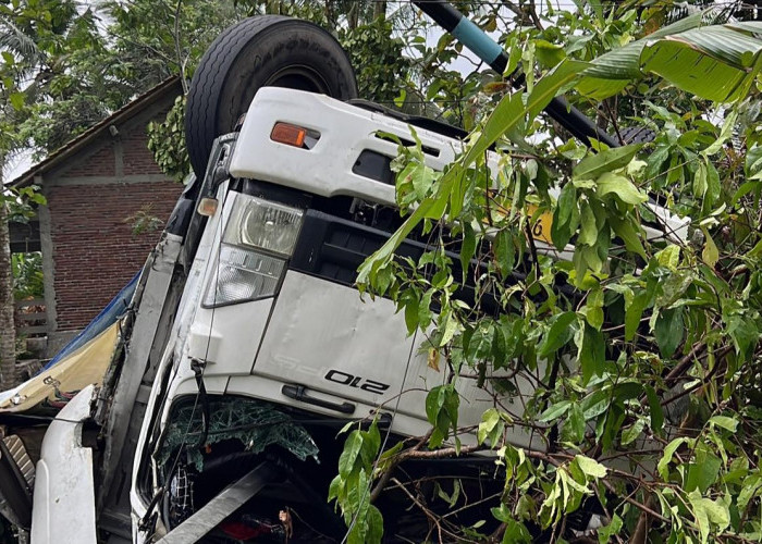 Hilang Kendali, Truk Nyungesep di Pekarangan Warga 
