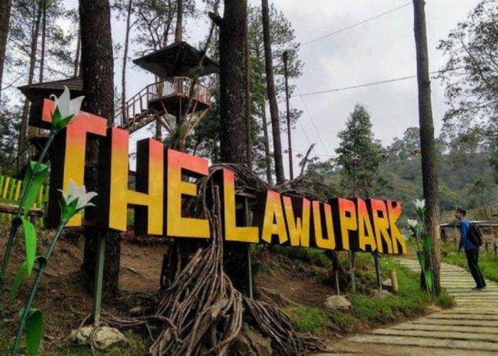 The Lawu Park, Wisata Alam Seru di Tawangmangu