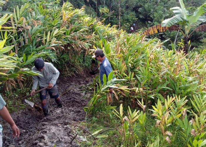 Retakan Tanah Meluas dan Ancaman Longsor Meningkat di Desa Kalibombong