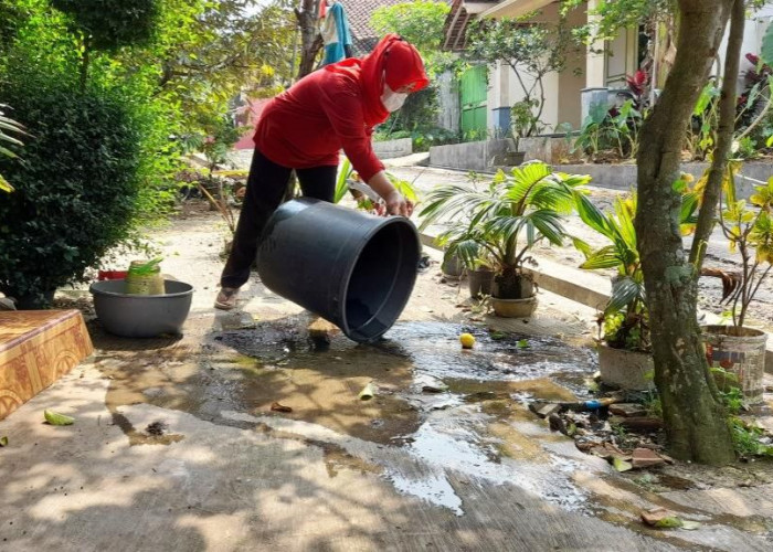 Waspadai Penyakit Pascabanjir, Dinkes Cilacap Imbau Warga Perhatikan Genangan Air