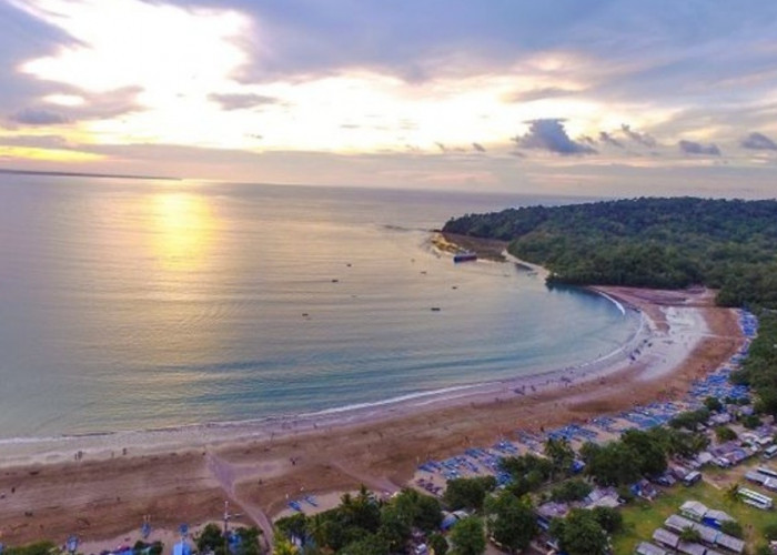 4 Rekomendasi Hotel Dekat Dengan Pantai Teluk Penyu Cilacap 