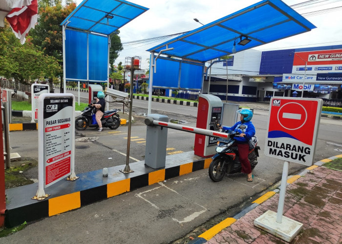Pedagang Segamas Resah Soal Wacana Kenaikan Tarif Parkir, UPTD Pastikan Tak Berubah