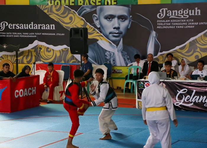 973 Pesilat Muda Berkompetisi di Kolopaking Championship I Piala Kemenpora 2024